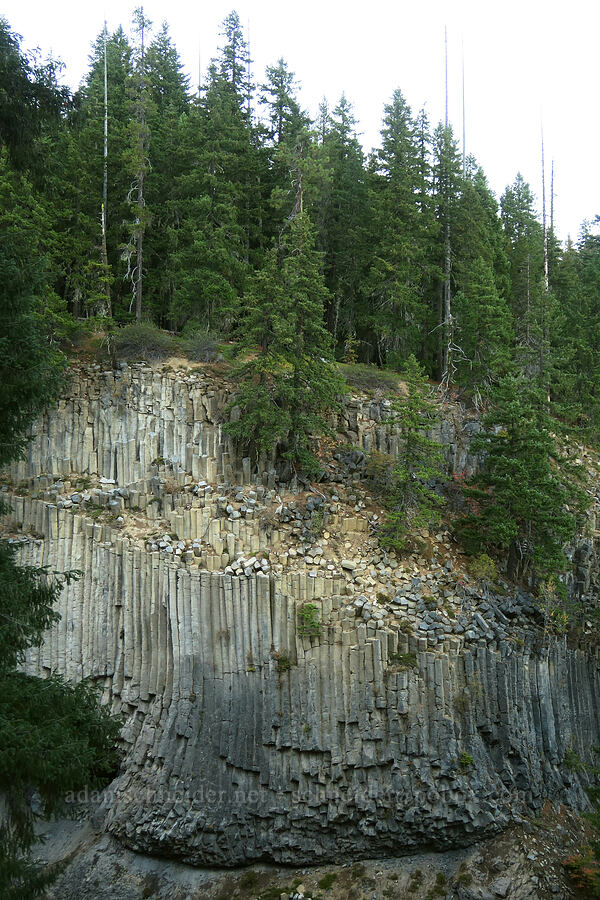 columnar basalt [Little Goose Creek Canyon, Gifford Pinchot National Forest, Skamania County, Washington]