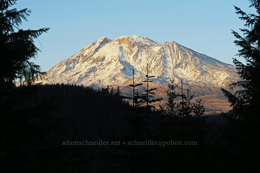Mount Adams [Little Goose Creek Canyon, Gifford Pinchot National Forest, Skamania County, Washington]