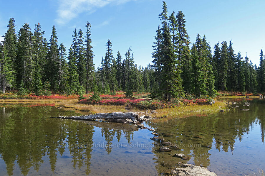 Rock Lake [Thomas Lake Trail, Indian Heaven Wilderness, Skamania County, Washington]