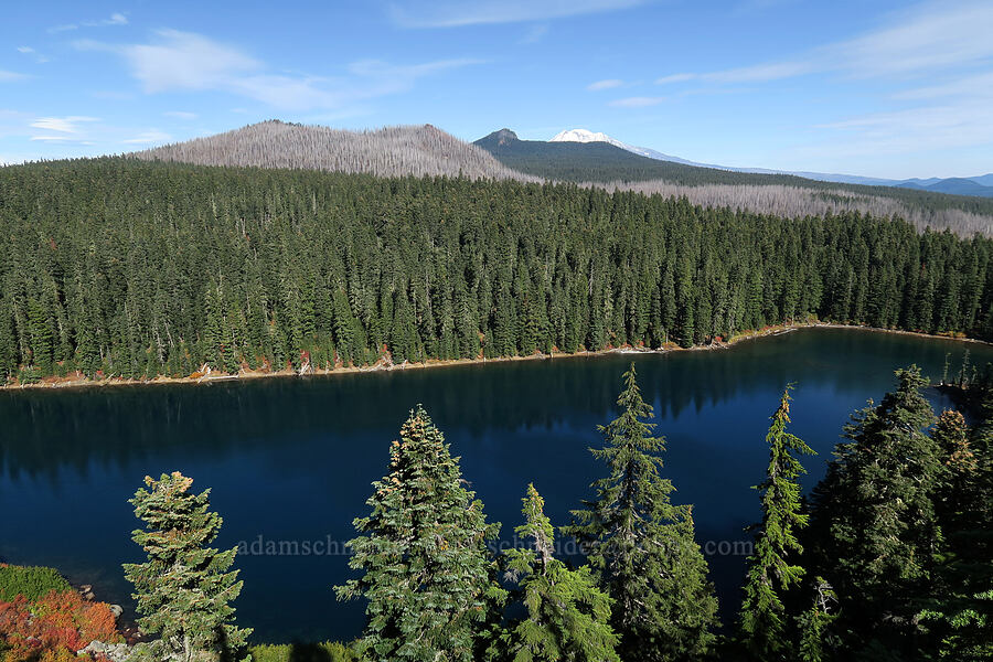 East Crater, Lemei Rock, & Blue Lake [Gifford Peak, Indian Heaven Wilderness, Skamania County, Washington]