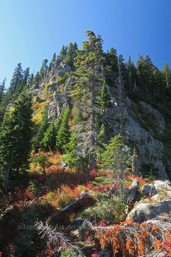 cliffs below Gifford Peak [Gifford Peak, Indian Heaven Wilderness, Skamania County, Washington]