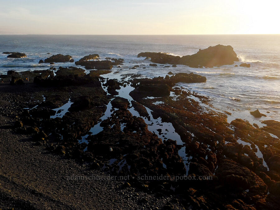 tidepools [Cobble Beach, Yaquina Head Outstanding Natural Area, Lincoln County, Oregon]