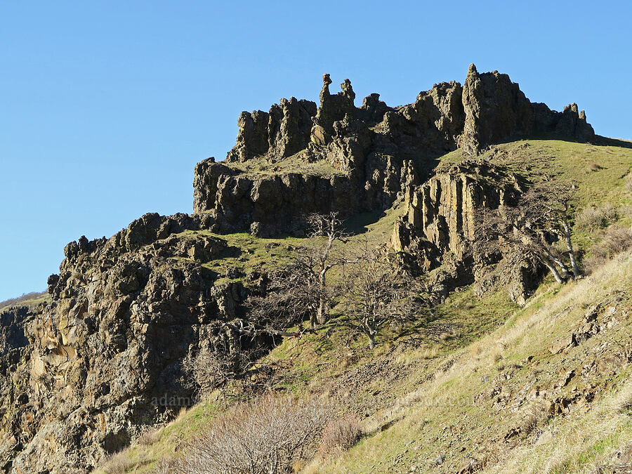 lava pinnacles [Doug's Beach State Park, Klickitat County, Washington]