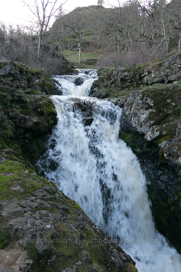 Labyrinth Creek [The Labyrinth, Klickitat County, Washington]
