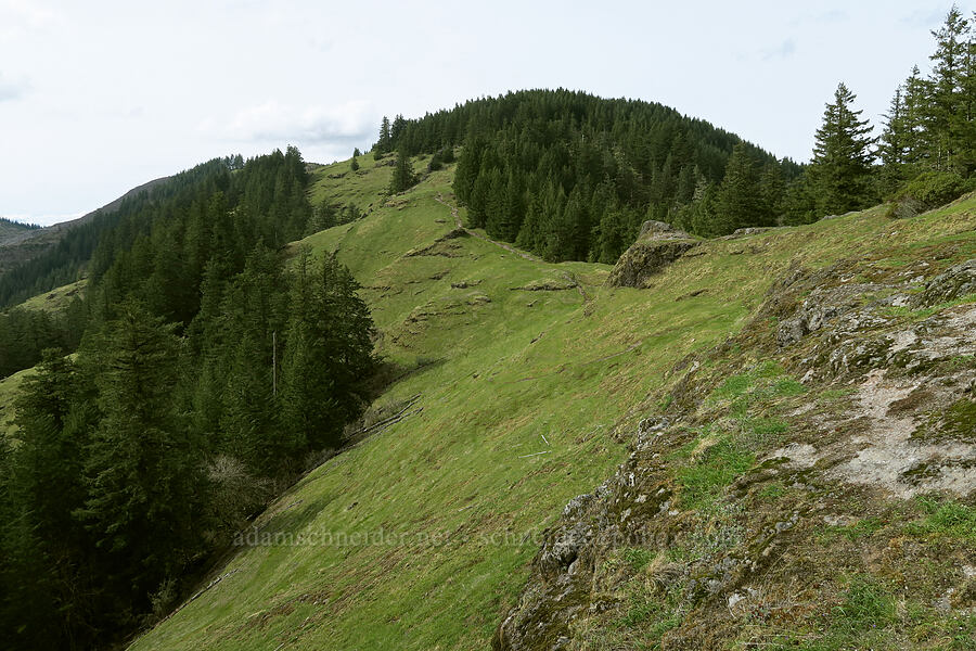 Horse Rock Ridge [Horse Rock Ridge, Linn County, Oregon]