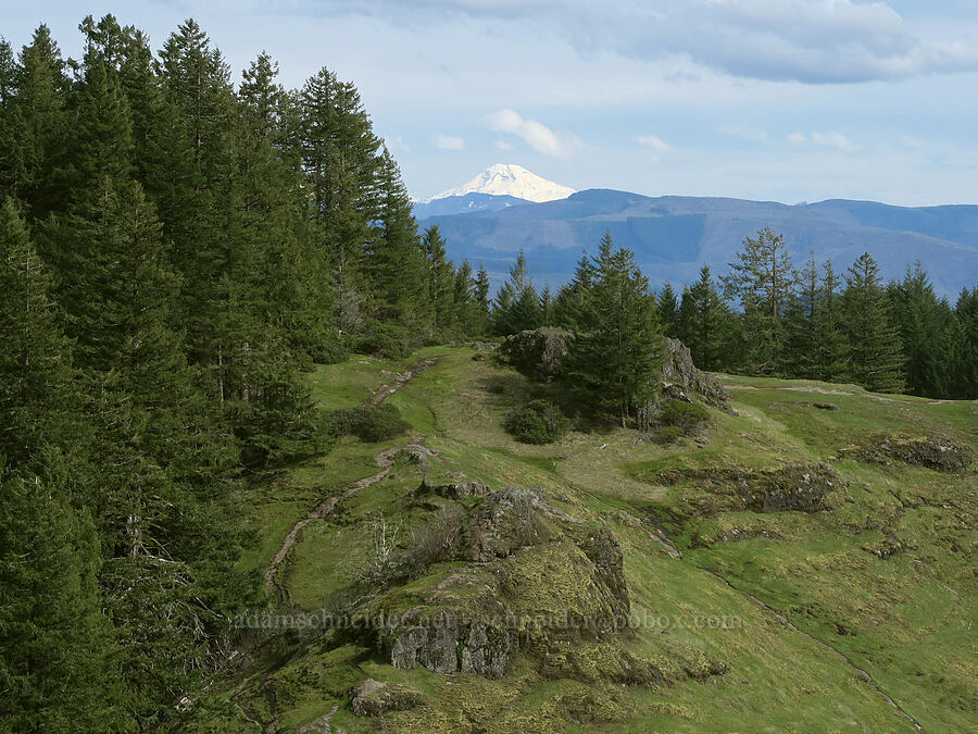 Horse Rock Ridge & South Sister [Horse Rock Ridge, Linn County, Oregon]