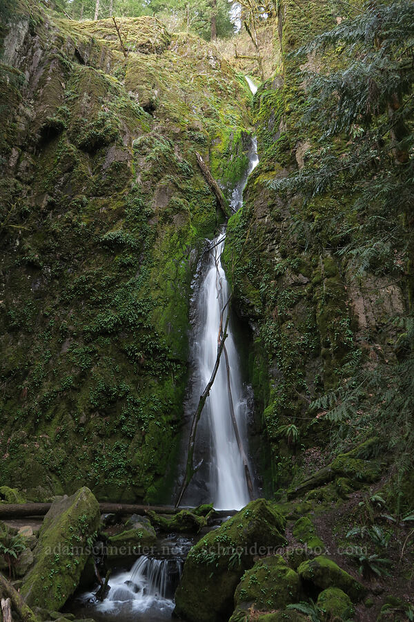 Lower Soda Falls [Cascadia State Park, Linn County, Oregon]