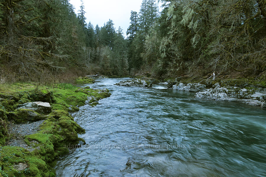 South Santiam River [Shot Pouch Road, Linn County, Oregon]