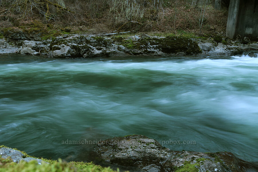 South Santiam River [Shot Pouch Road, Linn County, Oregon]