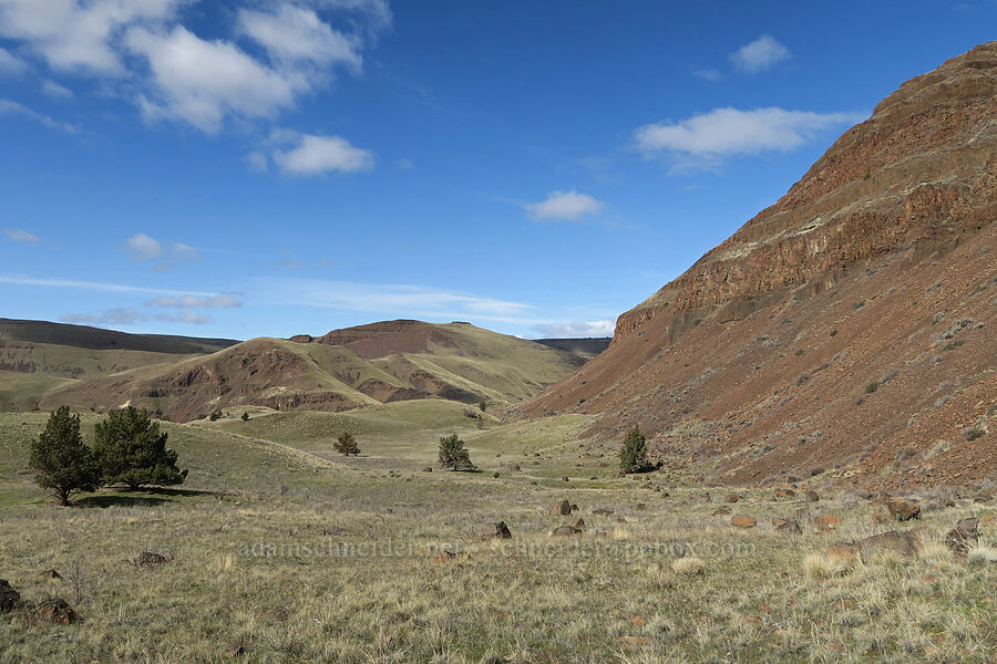 cliffs & grasslands [BLM Criterion Tract, Wasco County, Oregon]