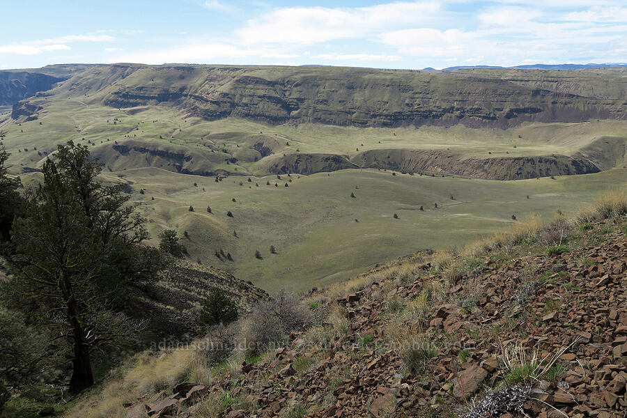 Deschutes River's canyon [BLM Criterion Tract, Wasco County, Oregon]
