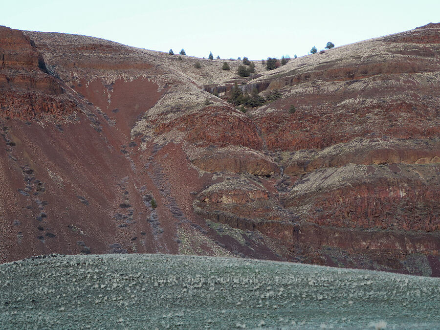 where I climbed up [BLM Criterion Tract, Wasco County, Oregon]