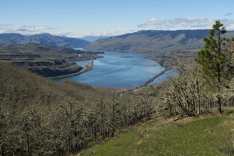 Columbia River [Lyle Loop Trail, Klickitat County, Washington]