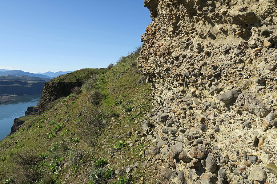 Missoula Flood deposits [Lyle Cherry Orchard, Klickitat County, Washington]