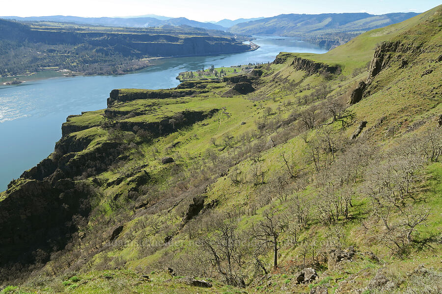 cliffs & benches [Lyle Cherry Orchard, Klickitat County, Washington]
