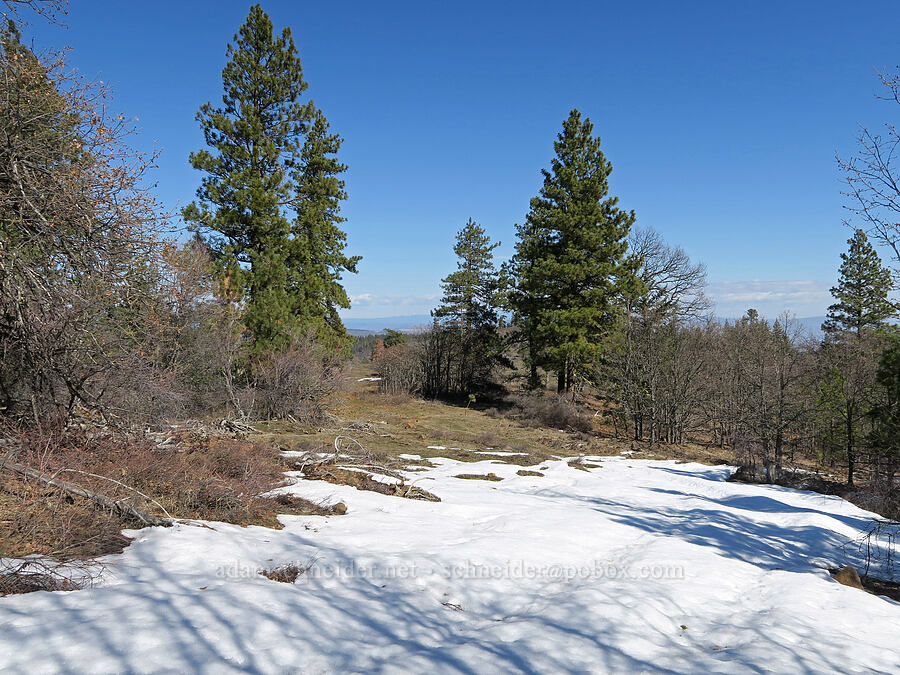 snow on top of the ridge [Mill Creek Ridge, Wasco County, Oregon]