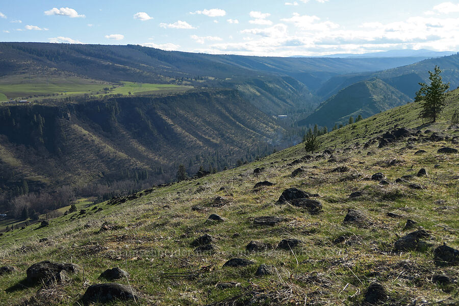 Mill Creek Valley [Mill Creek Ridge Preserve, Wasco County, Oregon]