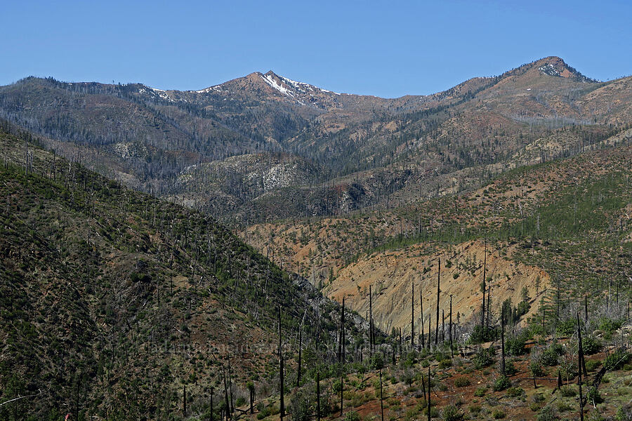 Pearsoll Peak [Illinois River Road, Rogue River-Siskiyou National Forest, Josephine County, Oregon]