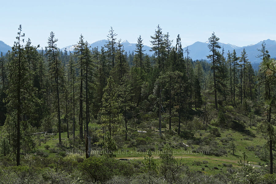 view to the south [French Flat ACEC, Josephine County, Oregon]