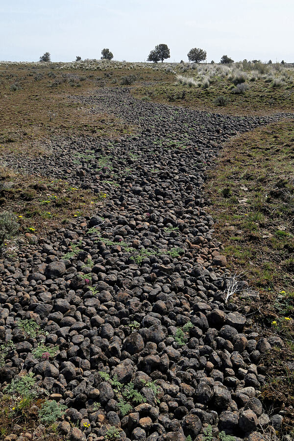 rock runnels [Rooper Road, Wasco County, Oregon]
