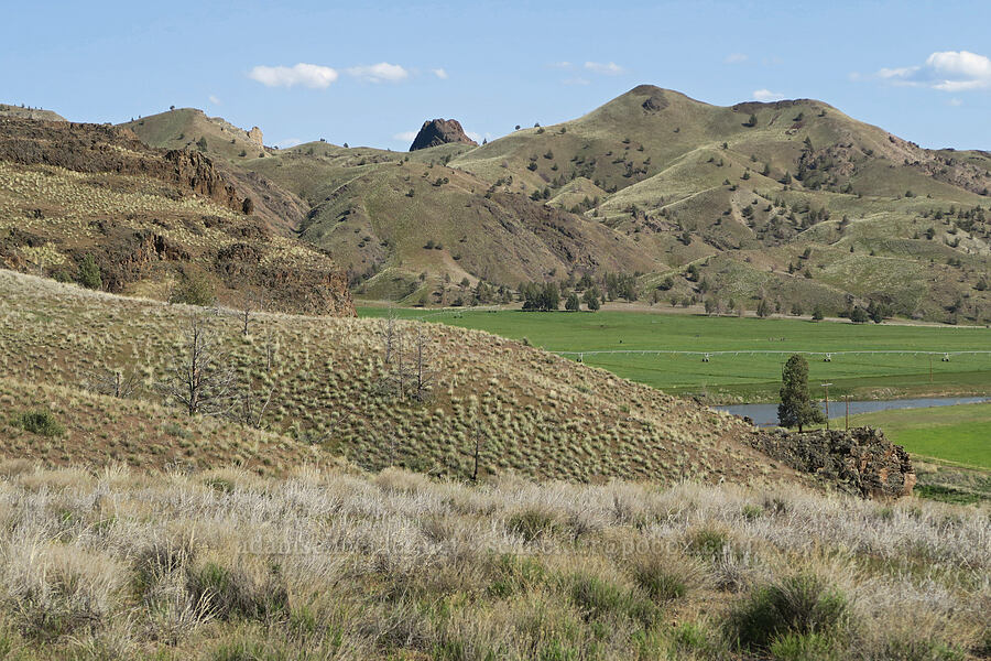 view toward Black Rock [Spring Basin Wilderness, Wheeler County, Oregon]