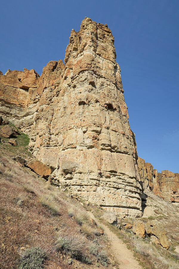 The Palisades [Arch Trail, John Day Fossil Beds National Monument, Wheeler County, Oregon]
