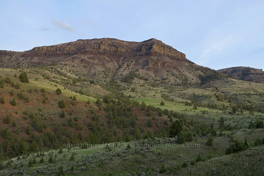 Butler Mountain [Highway 207, Wheeler County, Oregon]