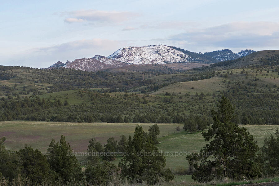 Baldy Mountain [Highway 207, Wheeler County, Oregon]