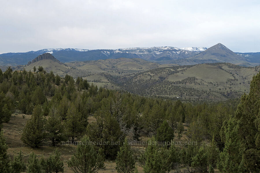 Bailey Butte & White Butte [Old Logging Road, Wheeler County, Oregon]