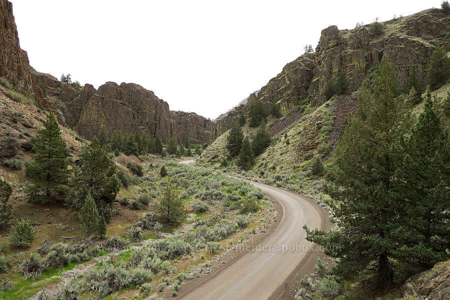 Girds Creek Canyon [Girds Creek Road, Wheeler County, Oregon]