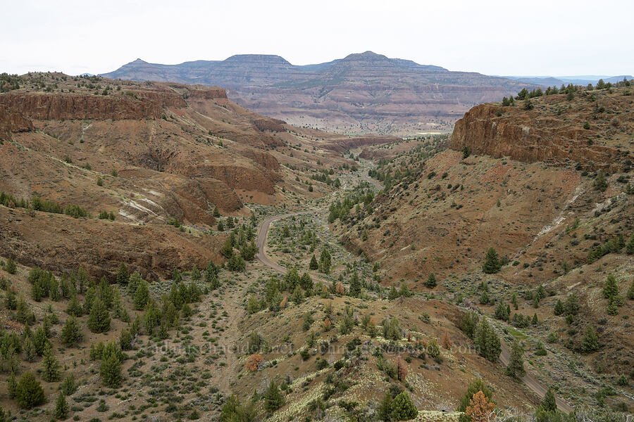 Girds Creek Canyon & Squaw Butte [Black Canyon, Sutton Mountain WSA, Wheeler County, Oregon]