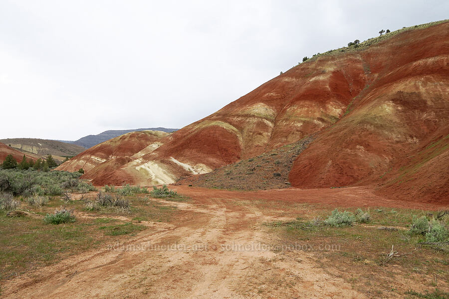 painted hills [Sutton Mountain WSA, Wheeler County, Oregon]