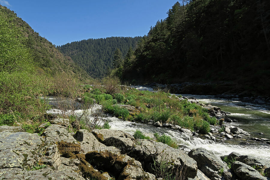 Rainie Falls [Rogue River Trail, Josephine County, Oregon]