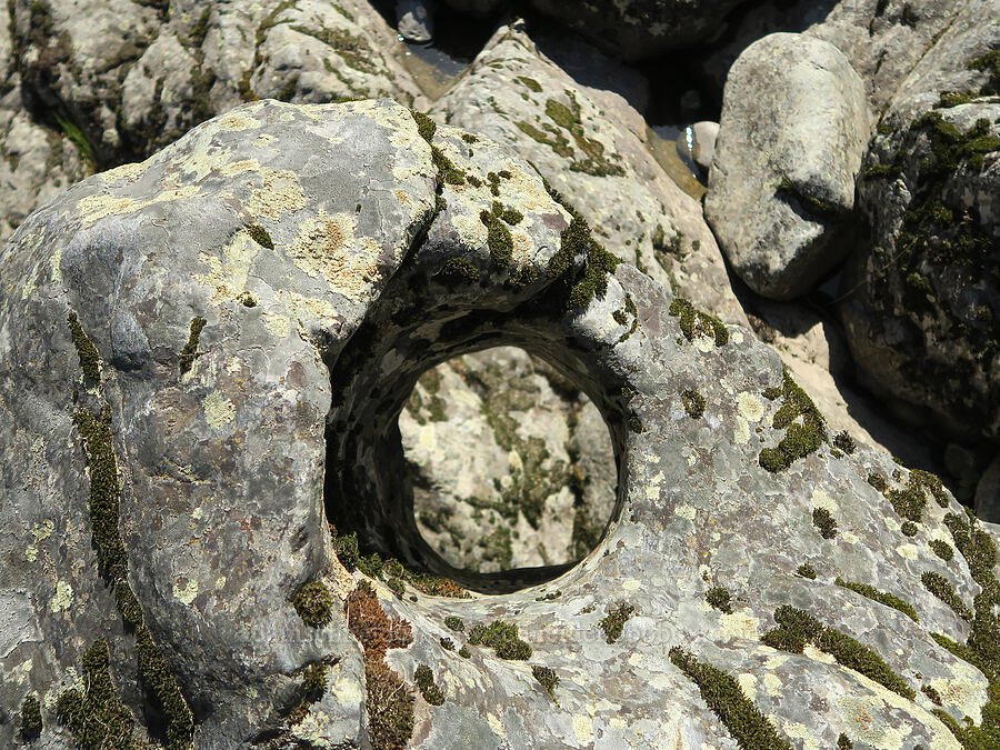 hole in the rock [Rainie Falls, Josephine County, Oregon]