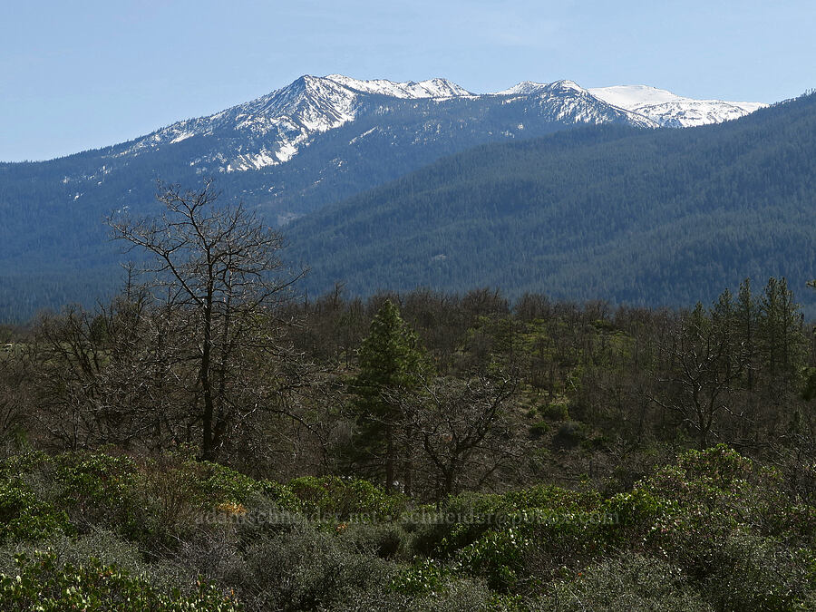 The Eddys [Edgewood Road, Siskiyou County, California]