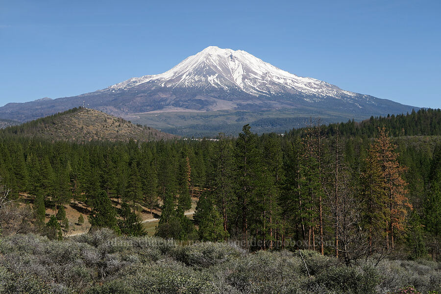 Mount Shasta [Edgewood Road, Siskiyou County, California]