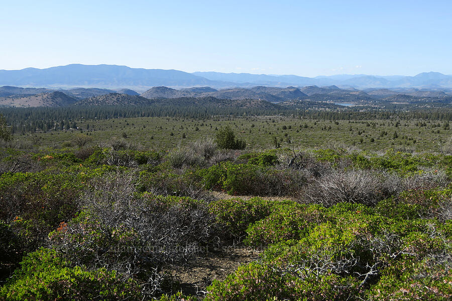 post-eruption hummocks [U.S. Highway 97, Siskiyou County, California]