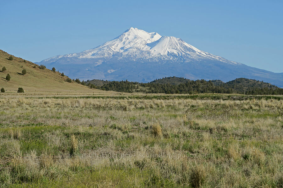Mount Shasta [Shasta Valley Wildlife Area, Siskiyou County, California]