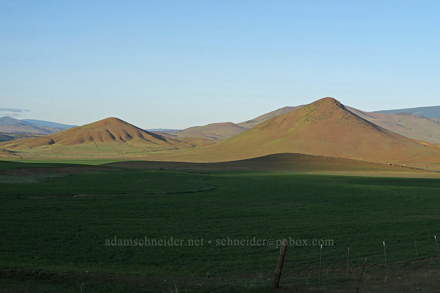 hummocks in Shasta Valley [Ager Road, Siskiyou County, California]