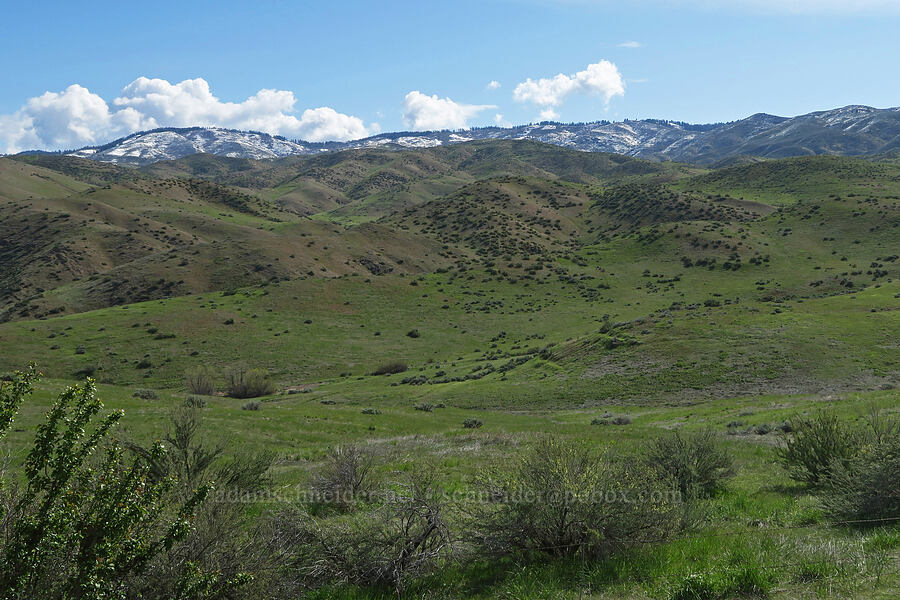 Boise foothills [Sunset Peak Road, Ada County, Idaho]