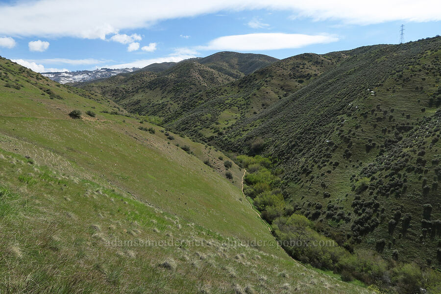 Hulls Gulch [Hulls Gulch Interpretive Trail, Ada County, Idaho]