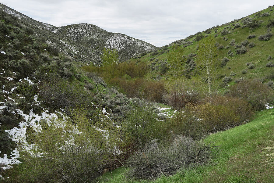 Hulls Gulch [Hulls Gulch Interpretive Trail, Ada County, Idaho]