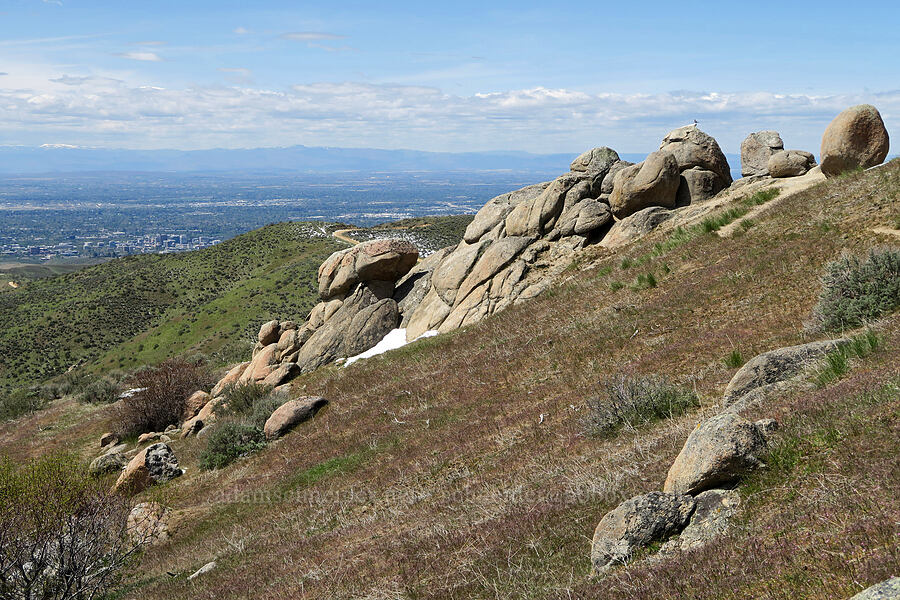 view toward Boise [Hulls Gulch Interpretive Loop Trail, Ada County, Idaho]
