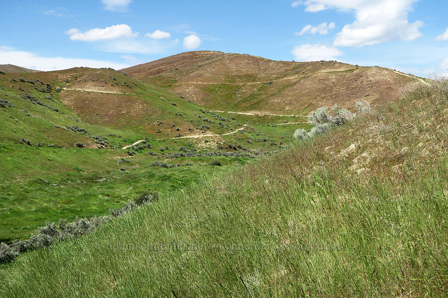 Harrison Hollow [Harrison Hollow, Boise, Ada County, Idaho]