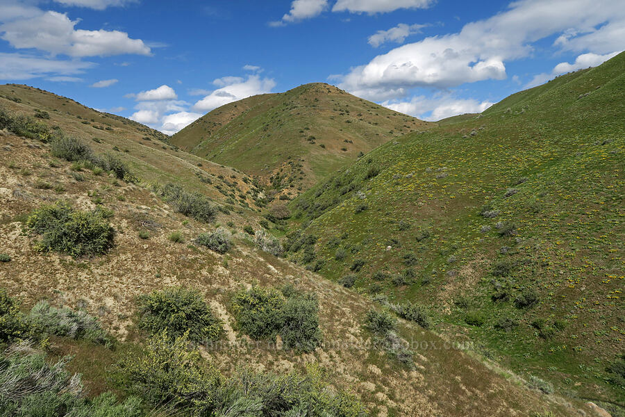 Boise foothills [Bogus Basin Road, Ada County, Idaho]