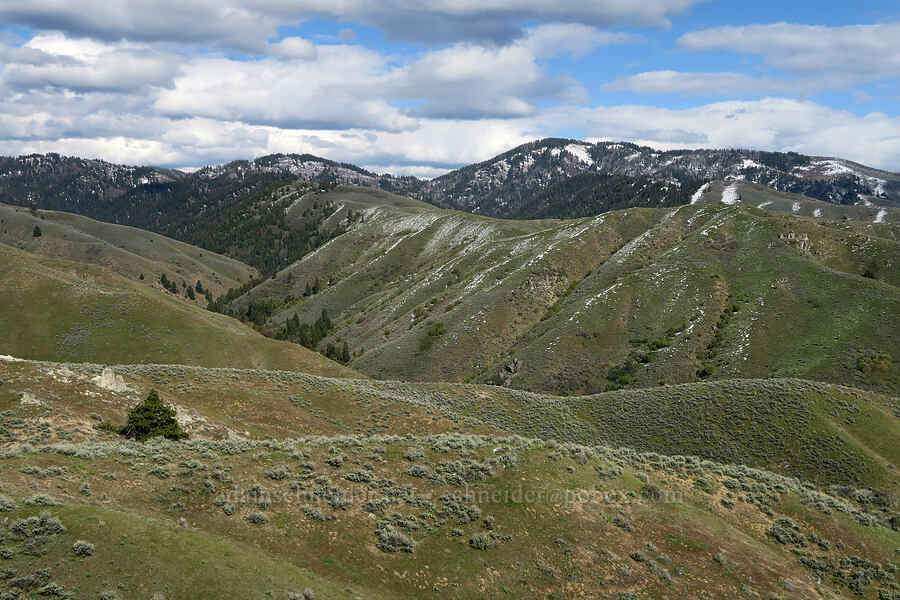 Boise foothills [Bogus Basin Road, Ada County, Idaho]