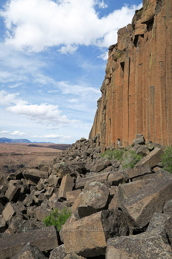 columnar basalt [Trout Creek Climbing Area, Jefferson County, Oregon]