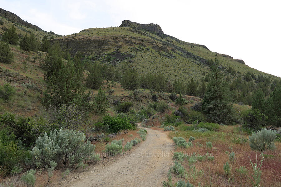 North Wall & the Trout Creek Trail [Trout Creek Trail, Jefferson County, Oregon]