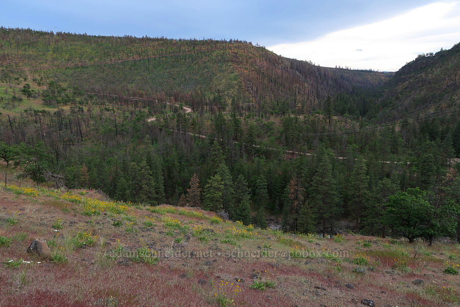 White River Canyon [White River Crossing Road, Wasco County, Oregon]