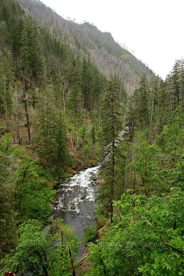 Eagle Creek [Eagle Creek Trail, Columbia River Gorge, Hood River County, Oregon]